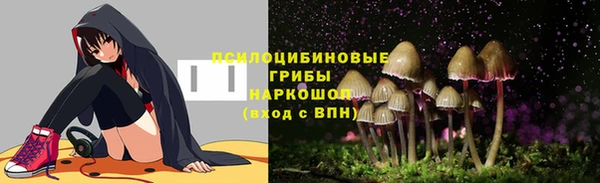 герыч Алзамай