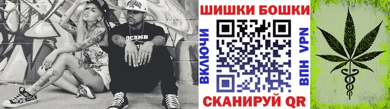 Каннабис сатива  Пласт 